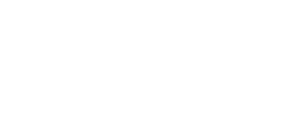 RUDI logo